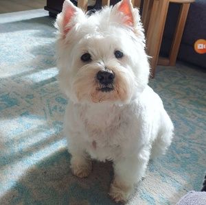 Meet your Posher, Cissy